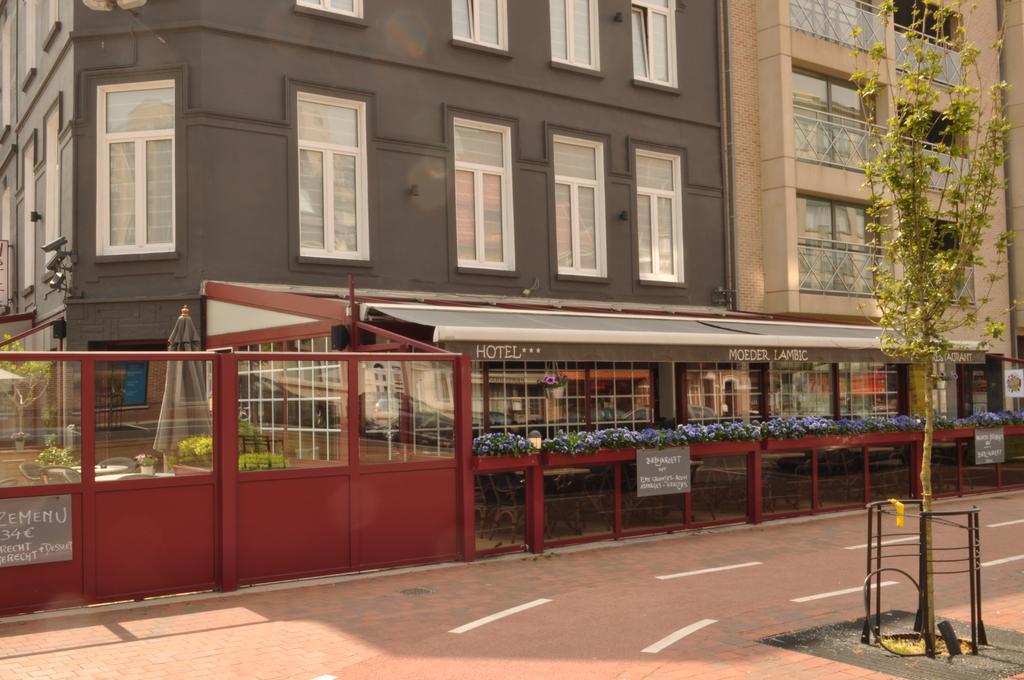 Hotel Moby Dick By Wp Hotels ブランケンベルヘ エクステリア 写真